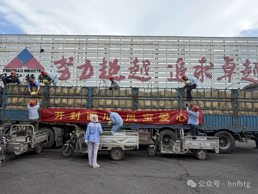 开封西瓜  乐动登陆官网-乐动(中国)
爱心